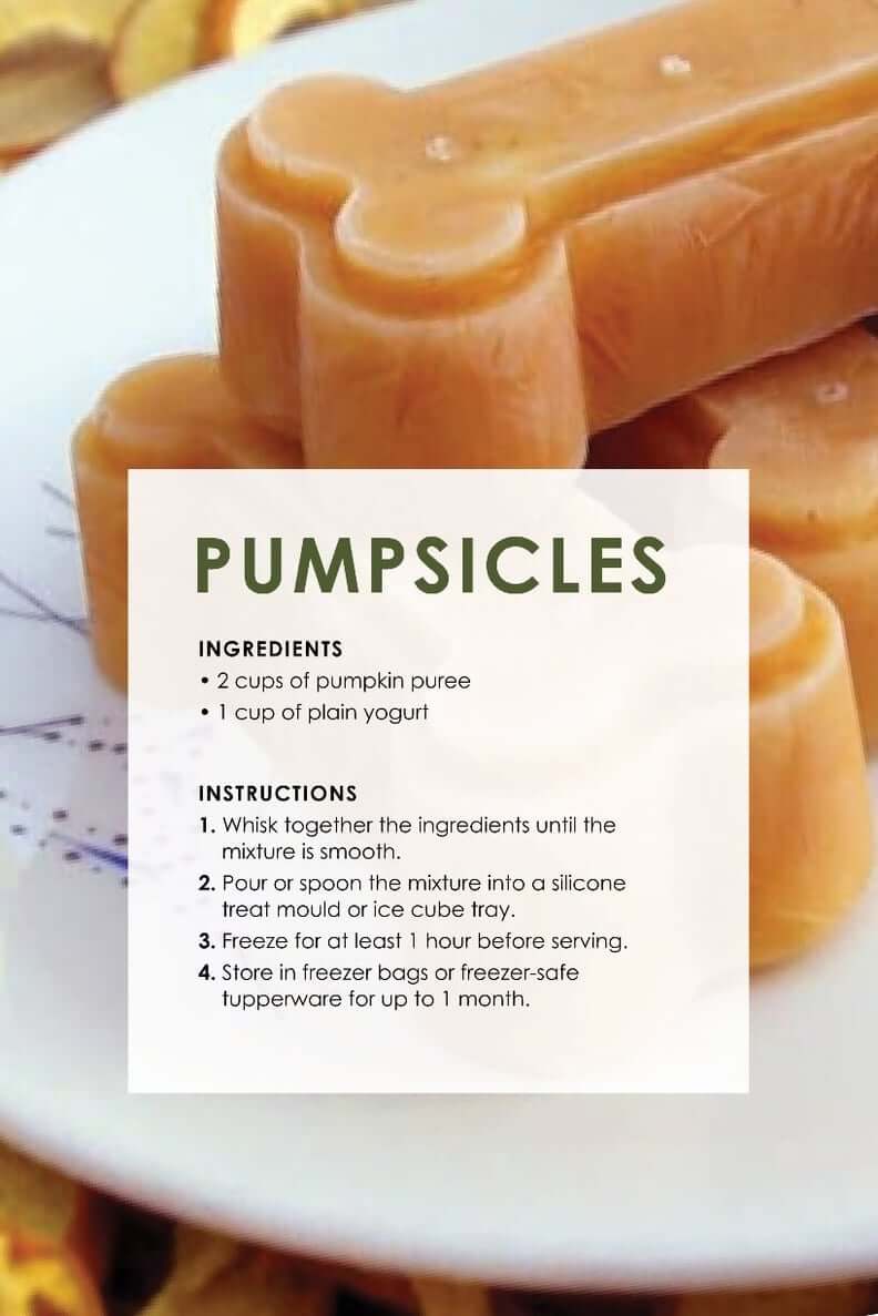 Healthy frozen treats for dogs online